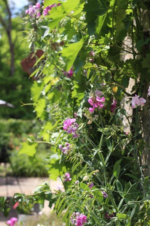 Chez Sophie Et Benoit Bed & Breakfast La Bussière-sur-Ouche Екстериор снимка